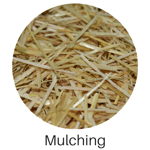 Mulching