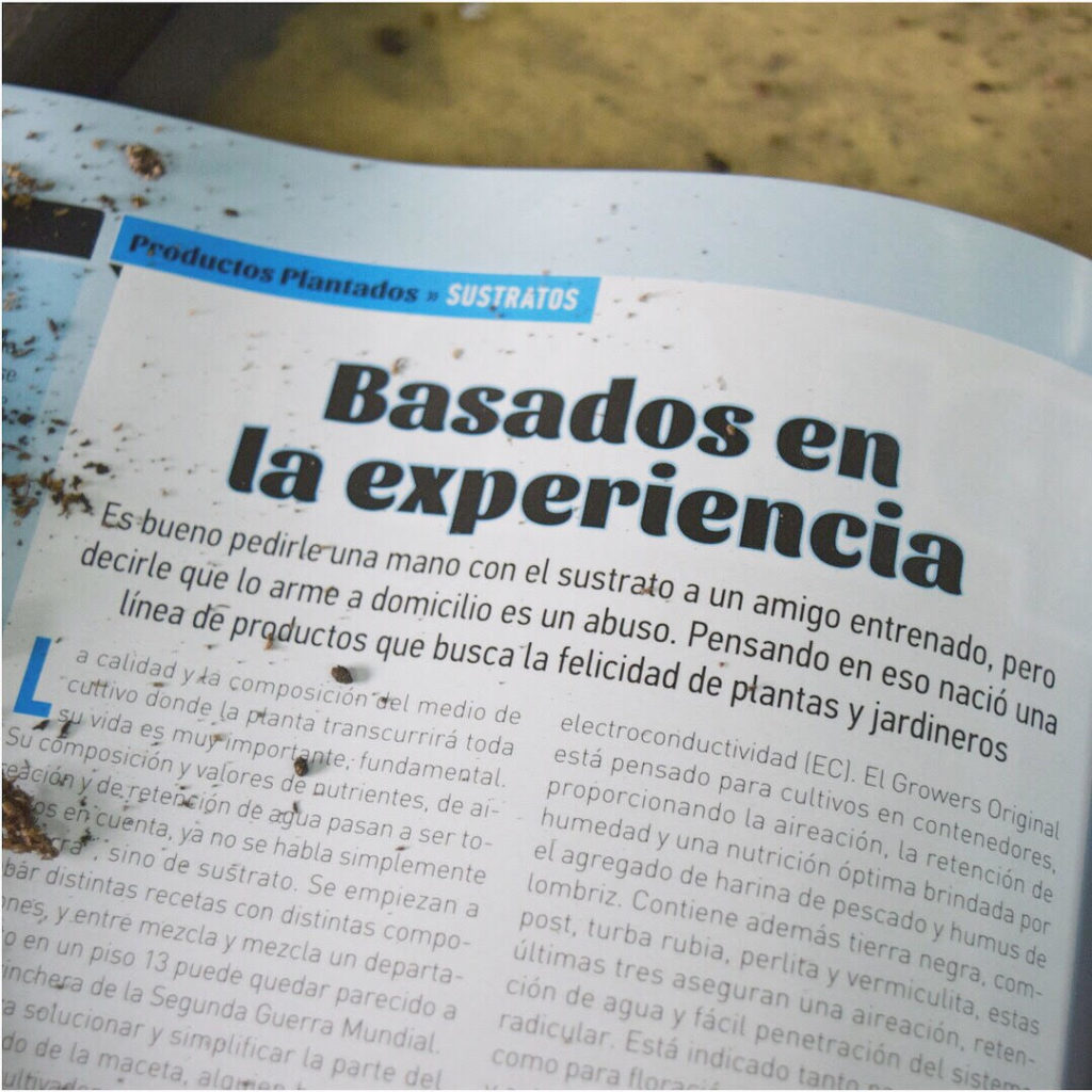 Experiencia en cultivo