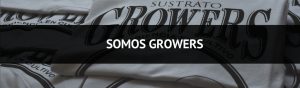 Sustrato organico natural para cultivos en contenedores